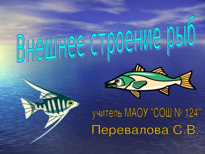 Презентация "Рыбы" 7 класс