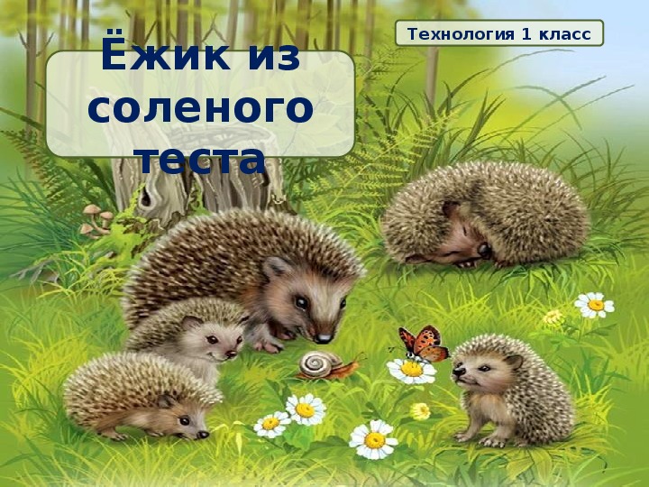 Ёжик из солёного теста