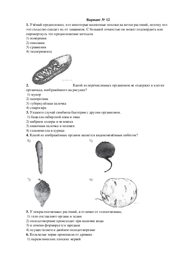 ОГЭ. Биология. Вариант № 12