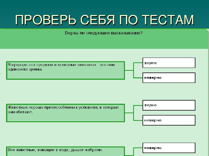 Размножение и размножение животных 3 класс презентация