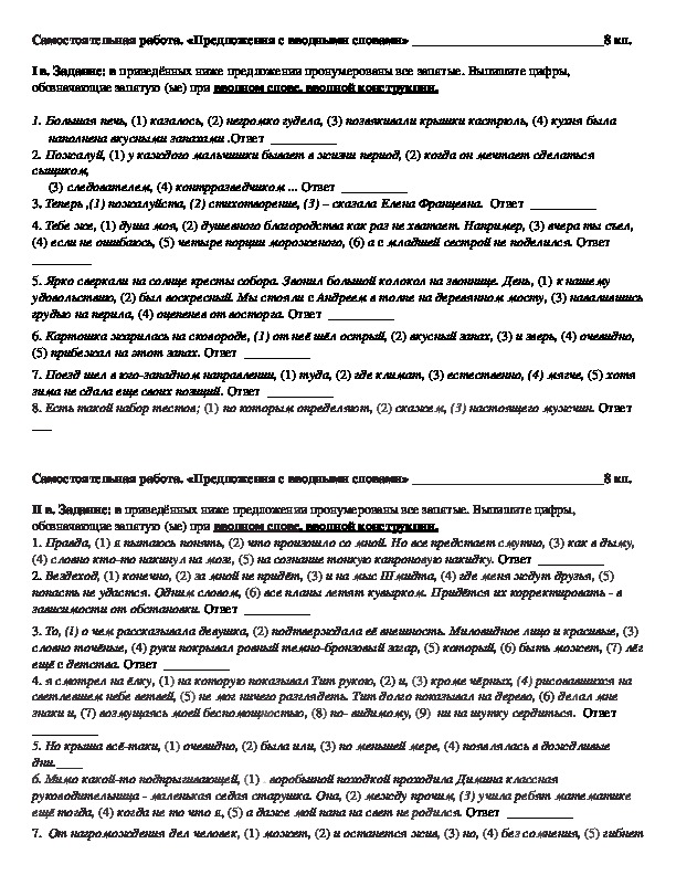 Самостоятельная работа по русскому языку на тему «Предложения с вводными словами» (8 класс)