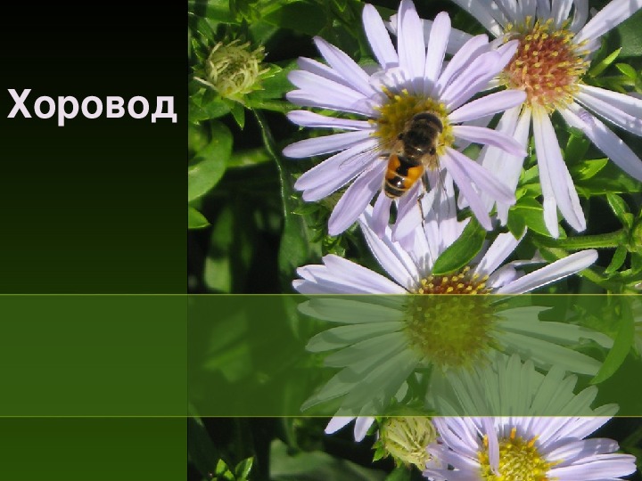 Обложка для материала Презентация по мировой художественной культуре. Тема: Хоровод (4 класс).