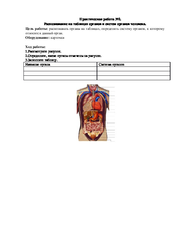 Инструктивная карта к практической работе №2 "Распознавание на таблицах органов и систем органов человека."(8 класс, биология)
