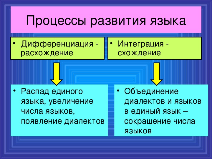 Презентация язык и общество