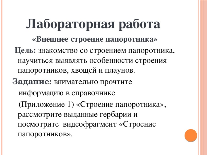 Лабораторная работа папоротники 7 класс. Лабораторная работа строение папоротника. Внешнее строение папоротника лабораторная работа. Вывод о внешнем строении папоротника. Лабораторная работа внешнее строение папоротника 6 класс.