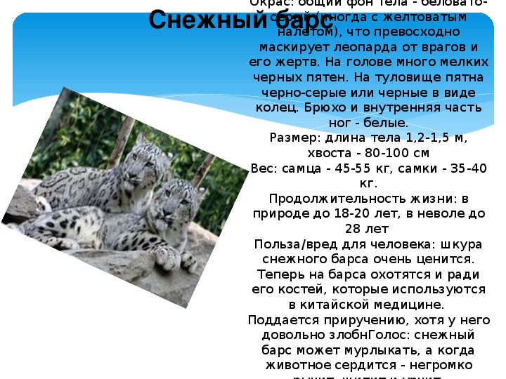 Презентация по биологии на тему "Животные Алтайского края"  5 класс