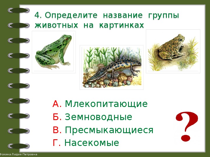 Тест по окружающему миру 2 класс животные