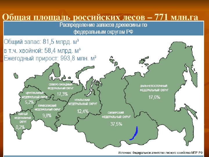 Доклад по теме Лесная промышленность России