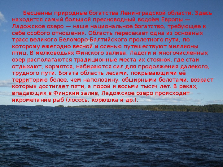 Заповедники санкт петербурга и ленинградской области презентация