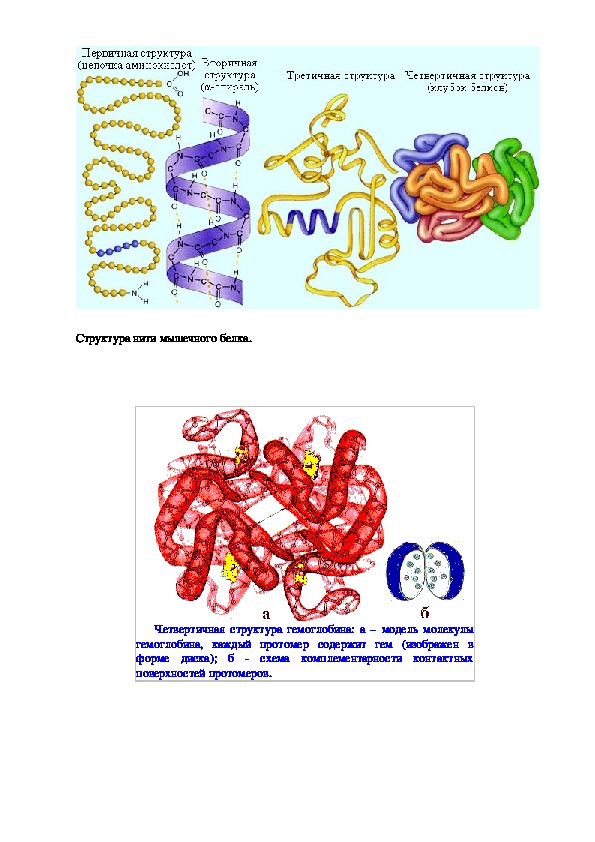 Схемы белков