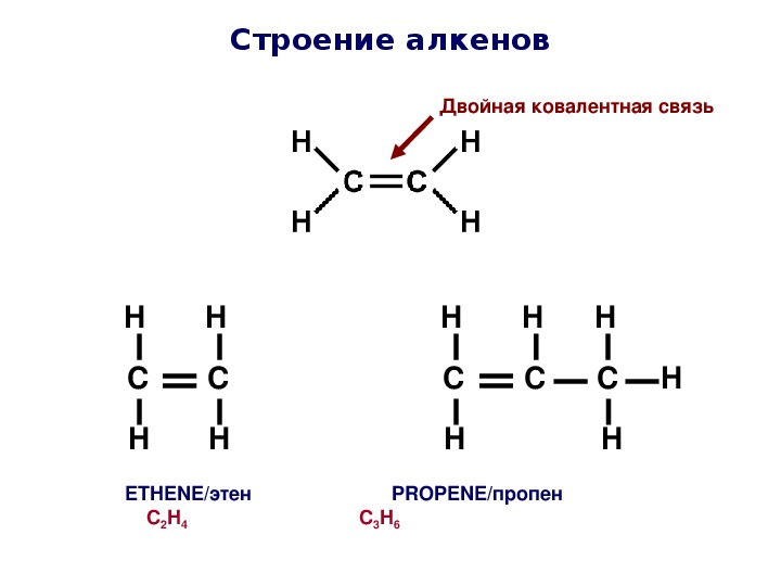 Написать молекулярную формулу алкенов. Структурное строение алкенов. Электронное строение двойной связи алкенов. Алкены строение молекулы.