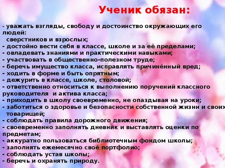 Ученик обязан. Путешествие в страну прав и обязанностей. В стране прав и обязанностей.