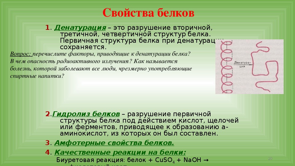 Презентация по химии по теме белки