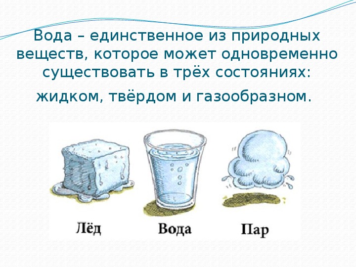 Тождество означающих план выражения при различии означаемых план содержания