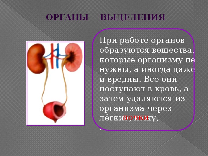 Которые образуются в особых органах. Вещество которое поступает в кровь через легкие а кровь. Легкие орган выделения. Вывод об органах выделения человека.