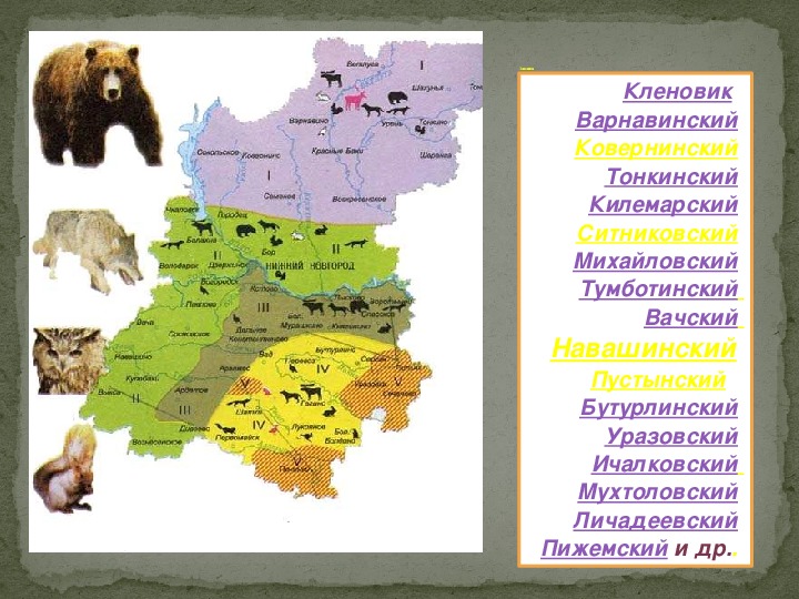 Заповедники нижегородской области презентация