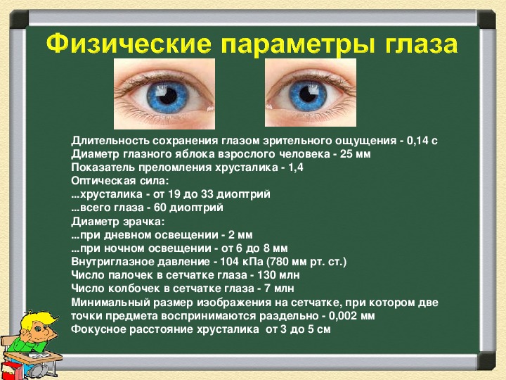 Презентация по физике по теме глаз