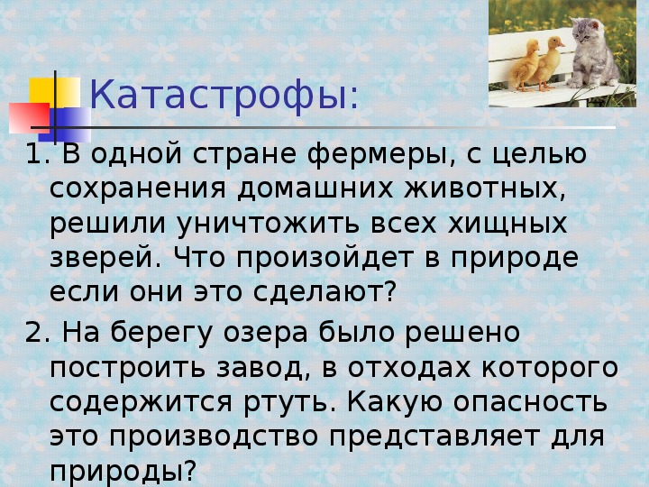 Решай страна