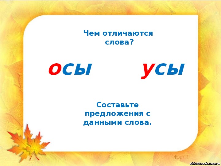 Схема слова усы