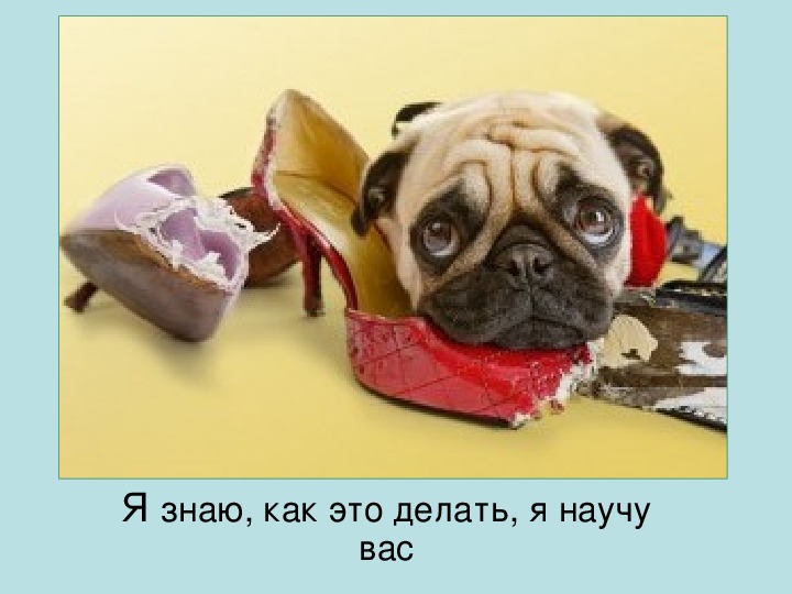 Мастер -класс "Обеспечение высокого качества организации образовательного процесса на основе эффективного использования современных информационных технологий "