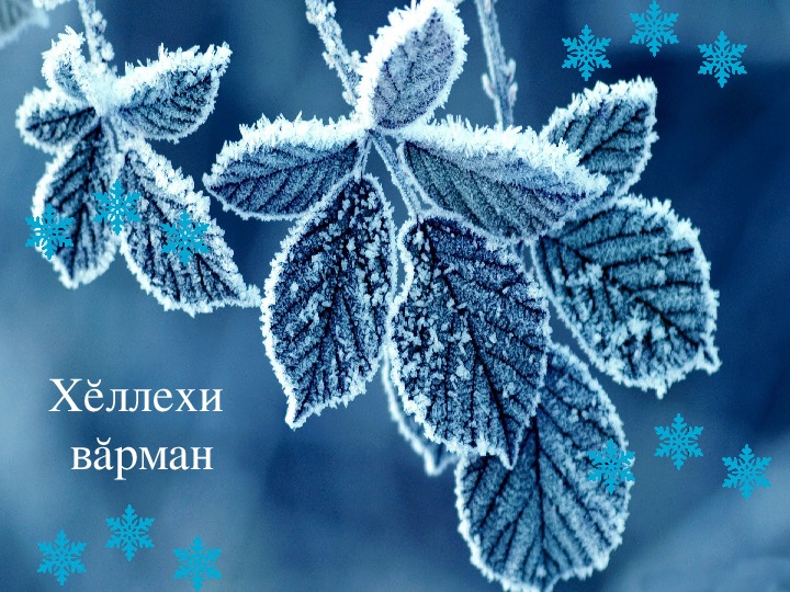 Презентация по чувашскому языку на тему "Зимний лес»