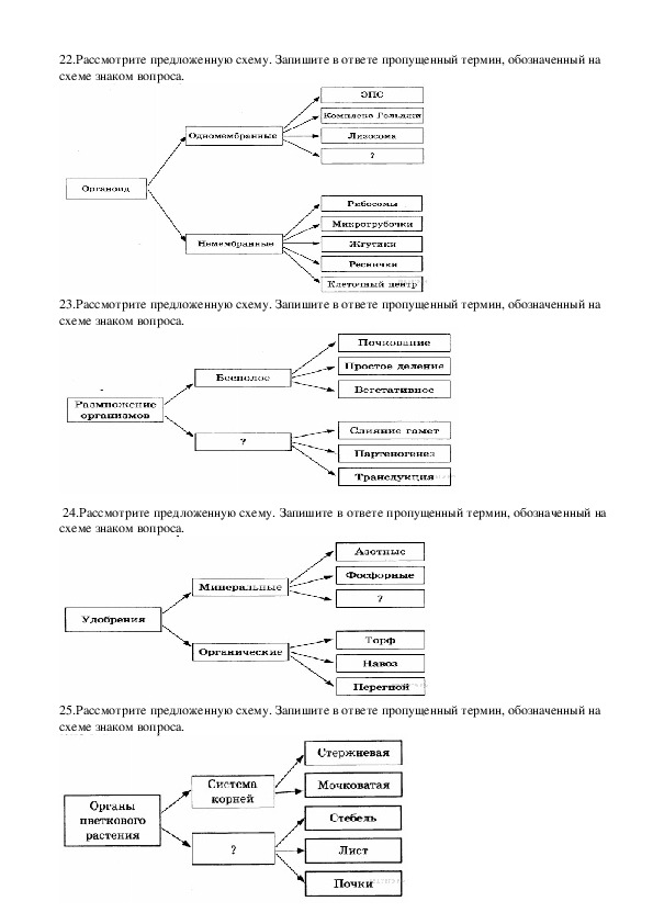 Задания с картинками егэ биология