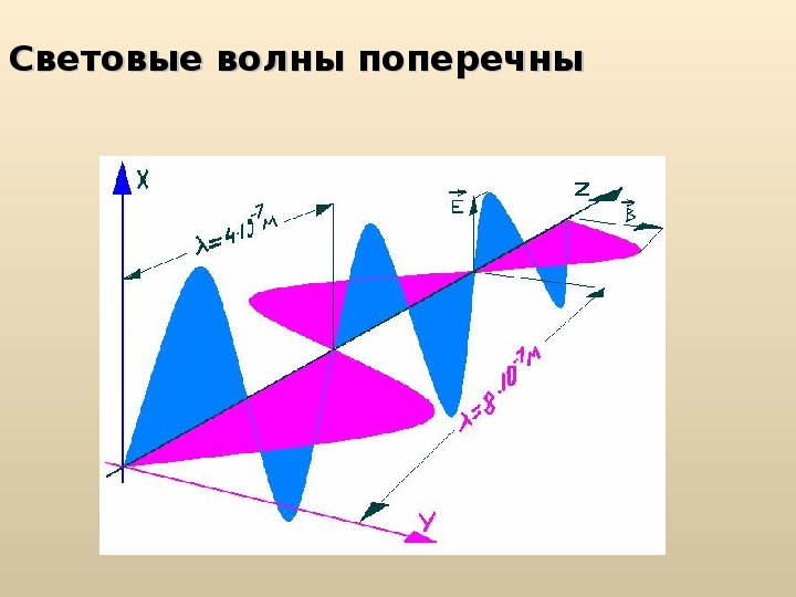 Световая волна это