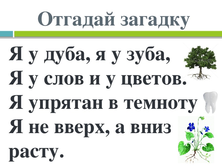 Предложение со словом дуб