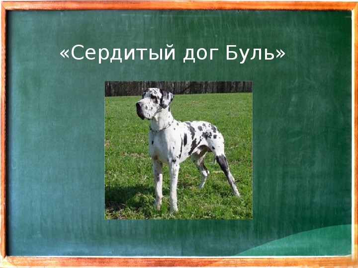 Презентация пляцковский сердитый дог буль 1 класс школа россии фгос