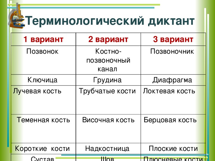 Проекты 8 класс биология