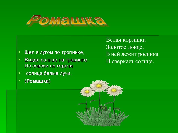 Загадка золотое донце. Загадка белая корзинка золотое Донце. Шёл я лугом по тропинке видел. Белая корзинка золотое Донце в ней лежит Росинка и сверкает солнце. Белая корзинка золотое Донце задание первый класс.