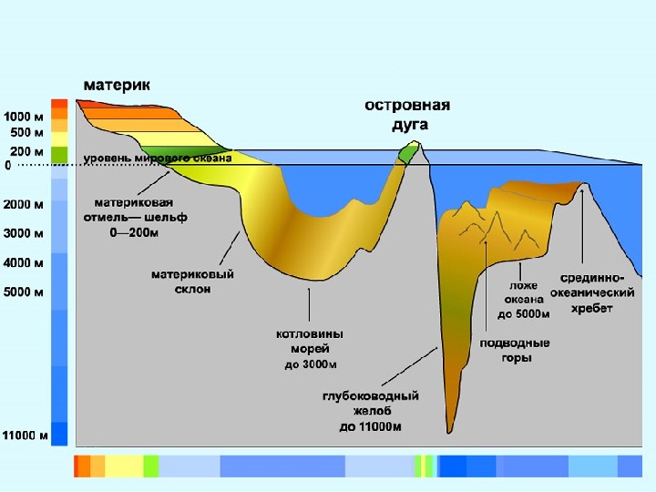 Соотнеси элементы рельефа дна океана с точками на изображении