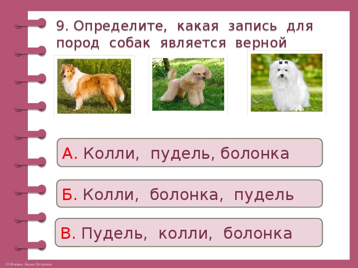 Про кошек и собак окружающий мир 2 класс плешаков школа россии презентация