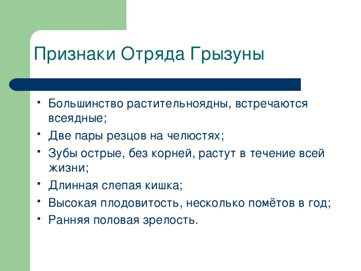 Отряды грызуны зайцеобразные презентация 7 класс