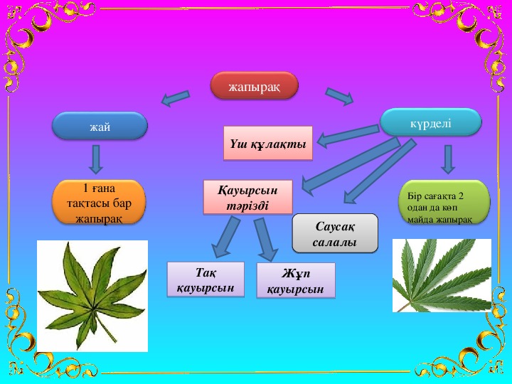 Торлы диаграмма әдісі