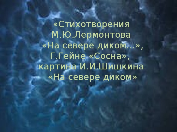 Открытый урок по литературе "Образ сосны в творчестве М.Ю.Лермонтова, Г.Гейне и И.И.Шишкина"