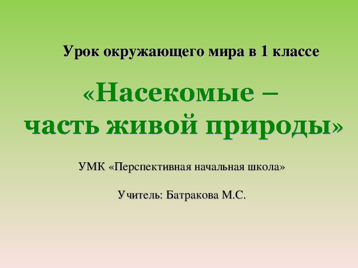 «Насекомые –  часть живой природы»