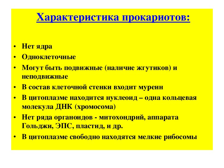 Отличительная особенность прокариот. Характеристика прокариот. Особенности прокариот. Характерные особенности прокариот. Отличительные особенности прокариот.