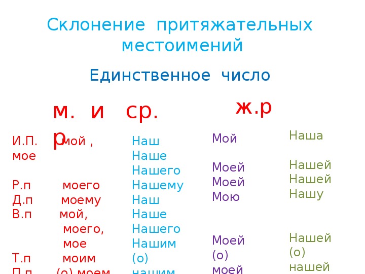 Притяжательные местоимения в русском языке 6 класс презентация