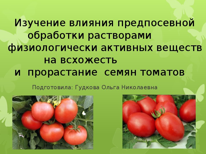 Презентация на тему "Влияние предпосевной обработки на прорастание семян томата "