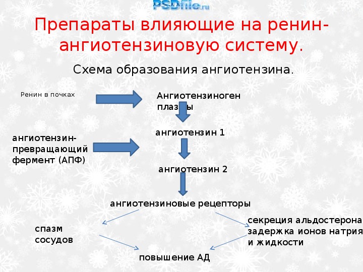 Система действует. Препараты действующие на ренин ангиотензивную систему. Средства влияющие на ренин-ангиотензиновую систему. Препараты действующие на ренин ангиотензиновых система. Средства влияющие на РААС схема.