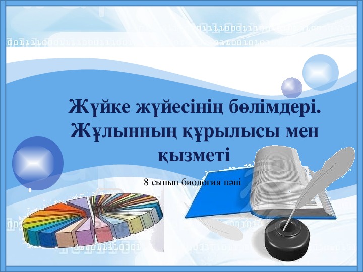 Презентация по биологии на тему "Жүйке жүйесінің бөлімдері"