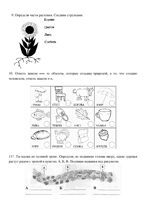 Проверочная работа растения и животные 3 класс. Части растений задания. Части растений проверочная работа.