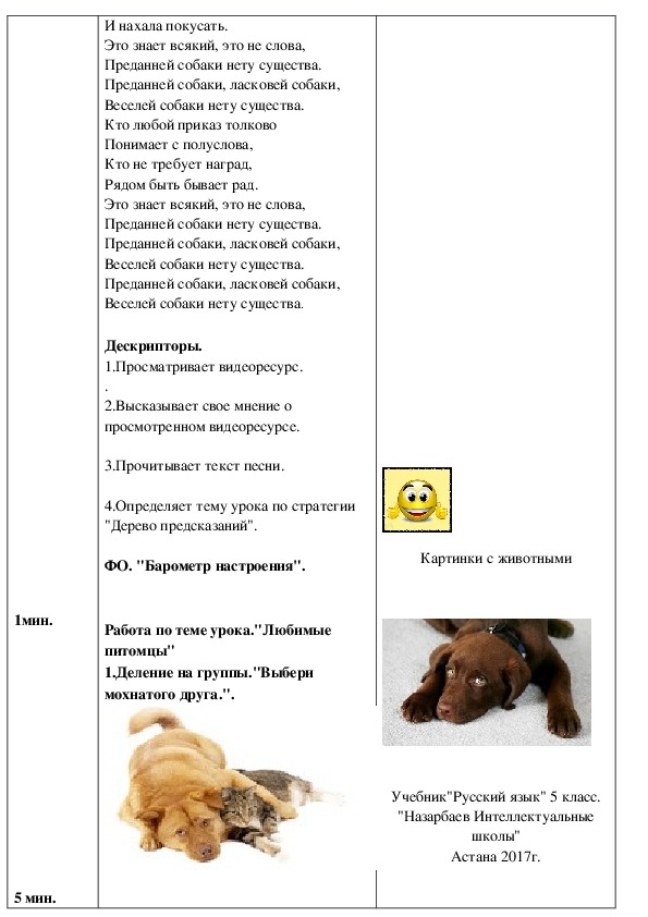 Урок русского языка по ОСО "Любимые питомцы"5 класс
