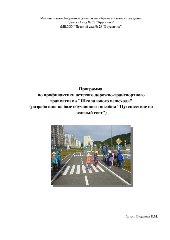 Программа  по профилактики детского дорожно-транспортного травматизма "Школа юного пешехода"