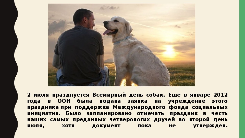 День когда стала собакой. Международный день собак 2 июля. Всемирный день собак. Международный день Солак. Международный день собак поздравление.