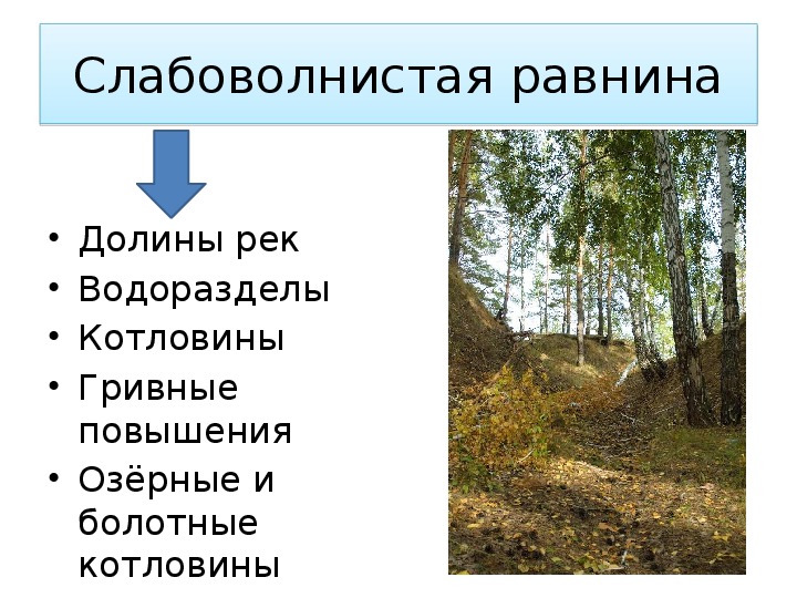 Конспект рельеф и полезные ископаемые. Полезные ископаемые Курганской области. Слабоволнистая равнина. Геологическое строение Курганской области. Месторождения торфа в Курганской области.