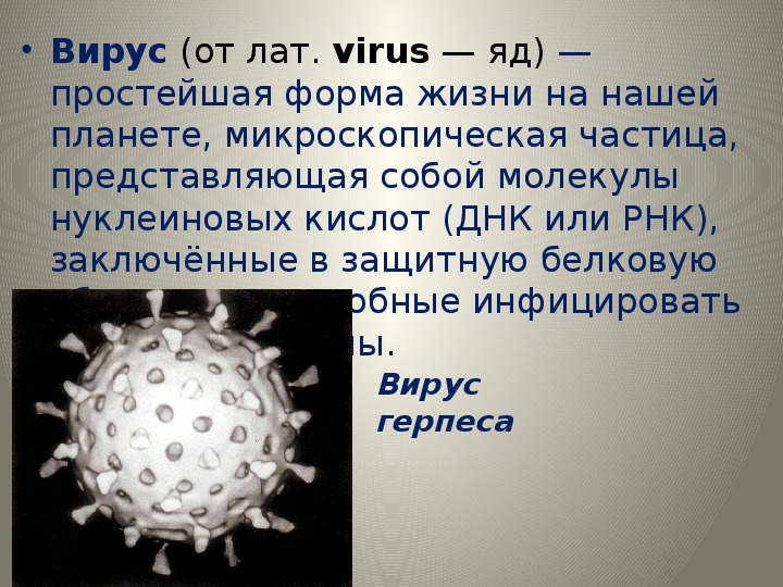 Презентация по биологии 10 класс