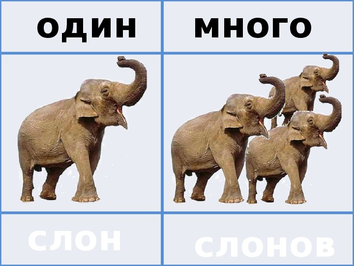 Картинки один и много