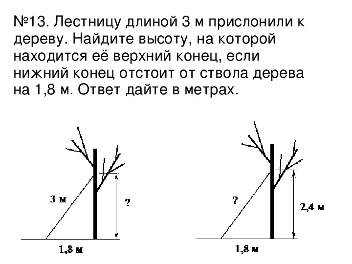 Пожарную лестницу приставили к окну. Лестницу длиной 3 м прислонили к дереву. Лестницу длиной 2 метра прислонили к дереву на дереву 1.2. Найдите высоту дерева если. Длину лестницы которую прислонили к дереву.